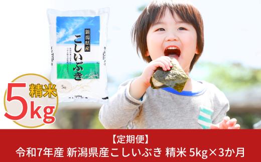 先行予約 [定期便5kg×3ヶ月] 令和8年産 新潟県産こしいぶき 計15kg 3か月連続でお届け [株式会社白熊]【016S008】