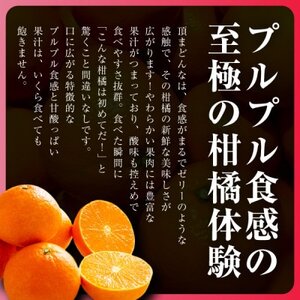 【冬限定の贅沢】ゼリーのような果肉!頂まどんな 2kg【D31-54】【1660046】