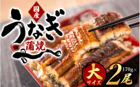 【全2回】－竹－ 国産うなぎ＆熊野牛 スタミナ定期便 / 定期便 鰻 牛肉 プレゼント お祝い 冷凍便 クール便 【tkb364】