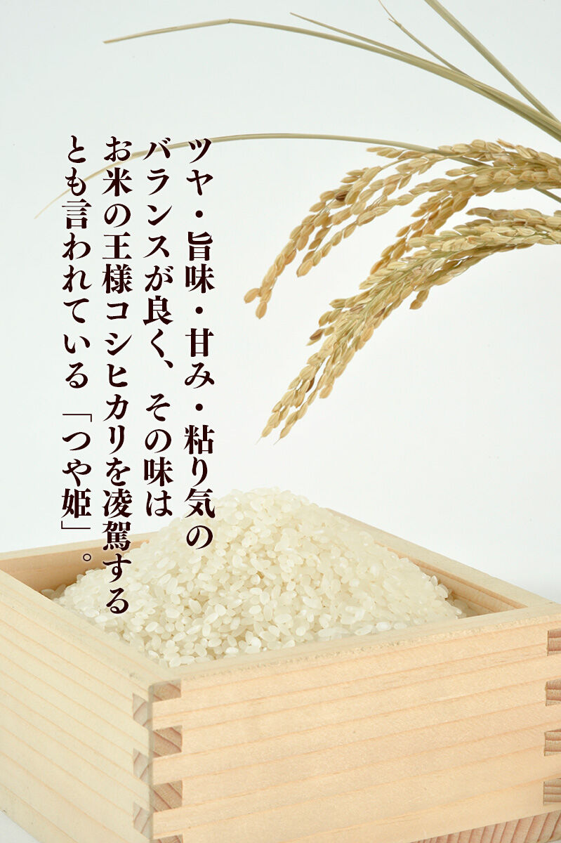 【2026年10月以降順次発送 先行受付】つや姫 8kg【白米】令和8年産 至極の一杯 こだわりのお米 オシャレな袋