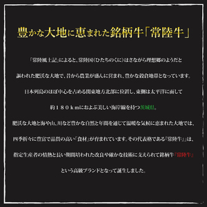【常陸牛 A5ランク】カレー3パック＋【美明豚】カレー3パック EK-75