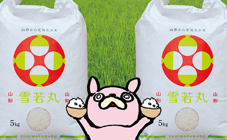 新米 雪若丸 令和7年産 10kg（5kg×2袋） こめ コメ 2025年産 精米 山形県 朝日町産 送料無料