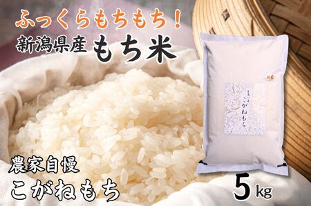 もち米『こがねもち』 5kg 新潟県産 【令和6年産】つやつやモチモチ もち米ならではの芳醇な香り 百姓や伝六 1等米【もち米 餅 赤飯 おこわ ふるさと納税 米 ブランド米 黄金餅 もち米】