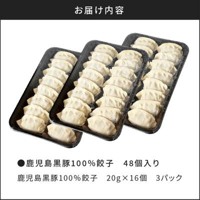 ふるさと納税 鹿児島市 【日本全国!ご当地冷凍食品大賞 2024-2025 優秀賞受賞!】鹿児島黒豚100%餃子 48個入り |  | 03
