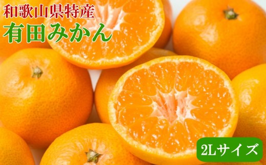 [秀品]和歌山有田みかん　9kg(2Lサイズ) ※2026年11月中旬～2027年1月中旬頃順次発送【tec831B】
