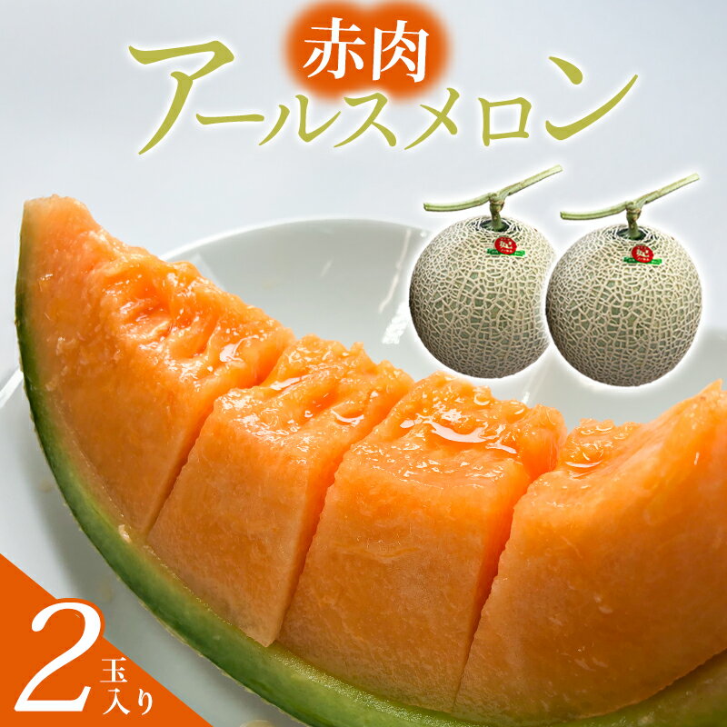 【ふるさと納税】 先行予約 アールスメロン 赤肉 2玉 果物 フルーツ メロン 季節限定 期間限定 特産品 お取り寄せ グルメ