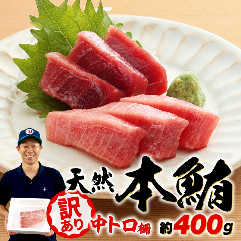 【ふるさと納税】 訳あり まぐろ 天然 本鮪 中とろ 約400g 不定型柵 冷凍 漬け マグロ ユッケ 海鮮 おいしい 刺身 トロ 高級 脂のり 赤身 ブロック 生食用 刺身用 寿司ネタ 解凍 新鮮 旬 グルメ 贈り物 ギフト 贅沢 藤枝市 静岡県