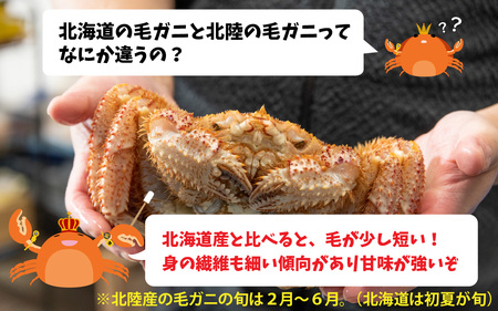 【姿】【成前特選】美味しさ直送！北陸産毛ガニ900ｇ前後×1杯（オス） [F-028009_01] / 毛ガニ