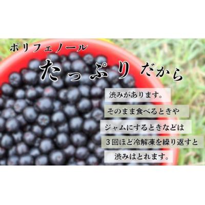 ふるさと納税 小松市 ベリー アロニア 1kg 果物 フルーツベリー |  | 01