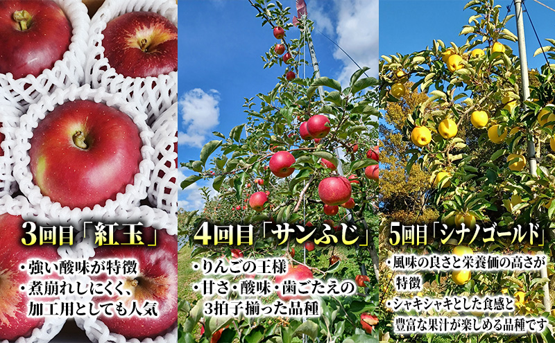 先行予約 りんご 定期便 5回 5種類のりんご 家庭用 約3kg 10玉前後 盛岡ブランド認証 果物 フルーツ 旬の果物 旬のフルーツ 季節の果物 季節のフルーツ 林檎 リンゴ 岩手りんご 岩手 岩手