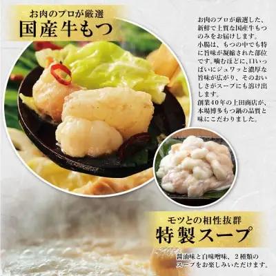 Z08-32 お徳用もつ鍋(醤油味・白味噌味 各4～5人前) もつ鍋