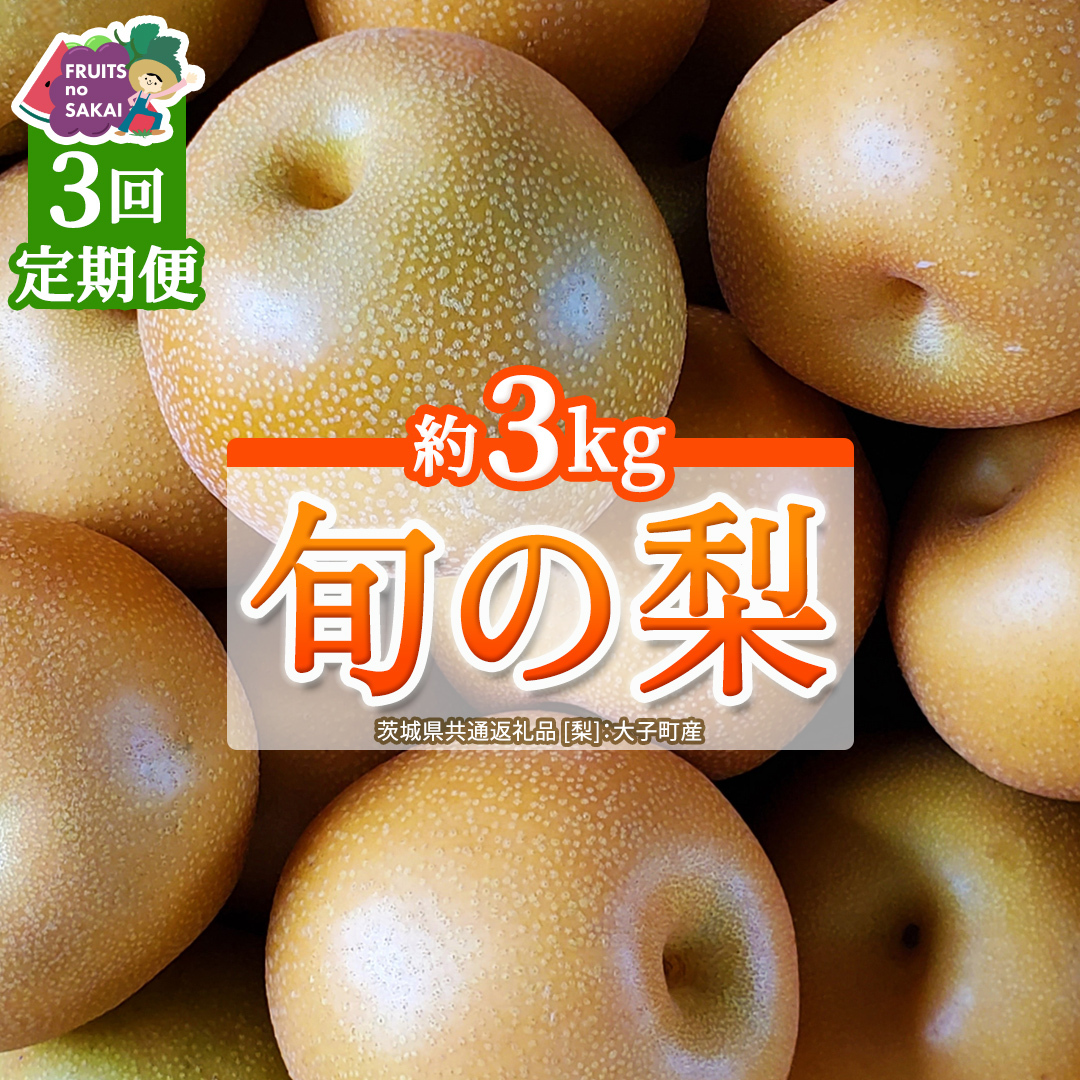 【定期便】3か月連続でお届け！ 旬の梨 おまかせ 約3kg（茨城県共通返礼品 [梨]：大子町産） 高糖度 ギフト 贈り物 プレゼント フルーツ なし ナシ 和梨  梨 果実 旬のフルーツ お取り寄せ 