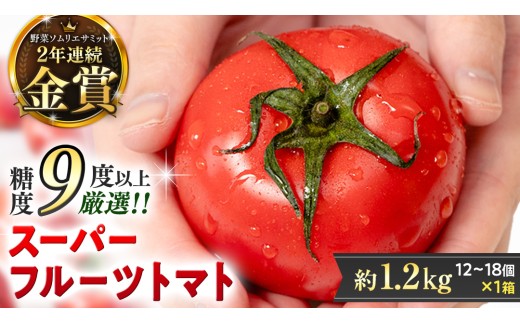 《 2026年収穫分 先行予約 》 糖度9度以上 スーパーフルーツトマト 中箱 約1.2kg × 1箱 (12～18玉/1箱) フルーツトマト ブランドトマト 野菜 ギフト 贈答 [BC002sa]