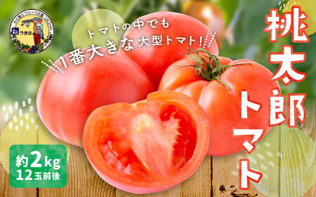 【先行予約】トマト 桃太郎トマト 約2kg 12玉前後 道の駅うきは