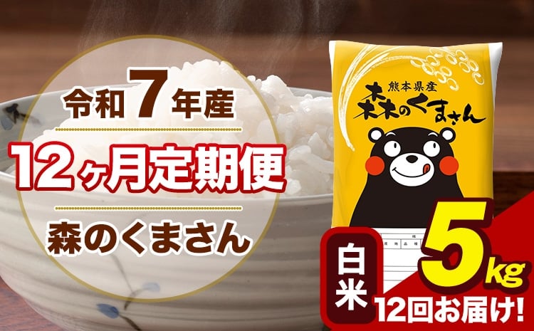 
            【12ヶ月定期便】令和7年産 森のくまさん 白米 5kg 5kg×1袋 計12回お届け 《お申込み翌月から出荷》 お米 こめ 熊本県産 ご飯 備蓄
          