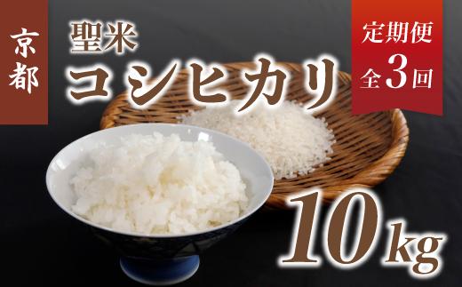 《3回 毎月お届け》【定期便】京都府産コシヒカリ「聖米」白米10kg 【 お米 米 白米 精米 こしひかり 国産 選べる 定期便 毎月発送 京都 綾部 】