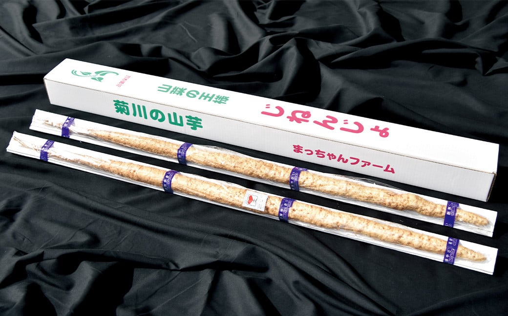 県知事賞を取った自然薯 農試60号 1本（500g以上×1本）【2025年11月上旬-2026年1月下旬発送予定】
