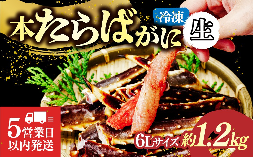 生たらばがに脚 6L×1肩(約1.2kg) 【5営業日以内配送】｜カニ かに 蟹 本たらば蟹 たらばがに たらば蟹 タラバ蟹 たらば タラバ ボイル 訳あり 6L 海鮮 特大 ボイル ひたちなか市 茨