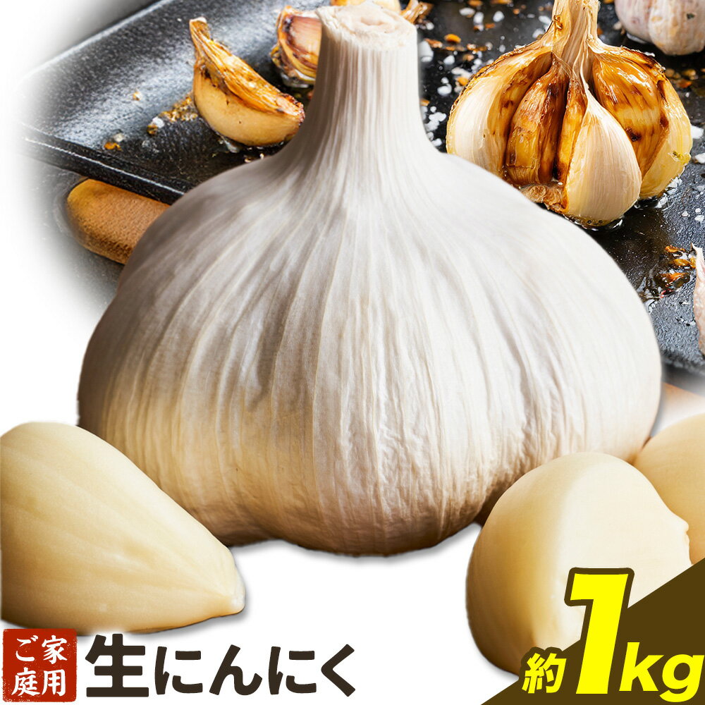【ふるさと納税】にんにく 野菜 和歌山県産 生にんにく 約1kg ご家庭用 厳選館 《5月上旬-5月中旬頃出荷》 和歌山県 日高川町 ガーリック 青果物