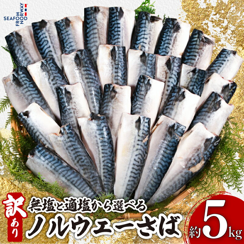 【ふるさと納税】 訳あり ノルウェーさば 5kg 【選べる味付け】 無塩 適塩 さば 鯖 さばフィーレ 鯖フィーレ さばフィレ 鯖フィレ 規格外 切り身 切身 無添加 添加物不使用 小分け 個別冷凍 お弁当 惣菜 おかず 塩焼き 焼きさば 料理 送料無料 千葉県 銚子市 エドノフーズ
