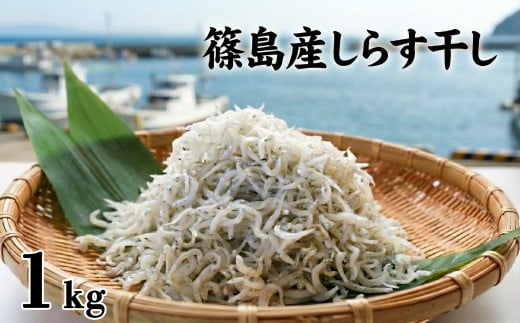 【特別寄附額】【スピード発送】＜篠島産＞ 訳あり しらす干し1kg シラス 南知多産 愛知