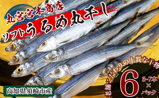 うるめの丸干し(ソフト) 6パック 鰯 煮干し 真いわし 真鰯 稚魚 おやつ おつまみ ウルメイワシ  乾物 干物 ひもの魚介 加工品 ウルメ 丸宮 宮本 商店 土佐 海洋深層水 ミネラル 高知県 須