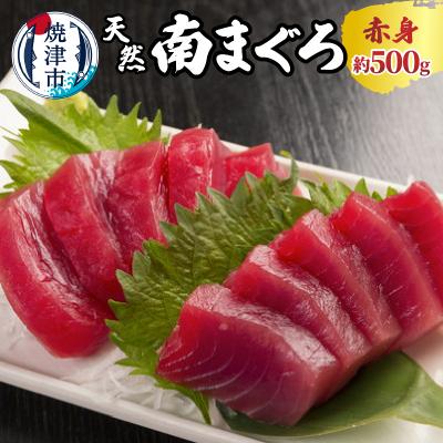 ふるさと納税 焼津市 焼津 天然 南 まぐろ 赤身(a10-244)