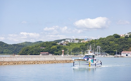 ちりめん ふりかけ ちり旨ふりかけ 梅小町 3個セット