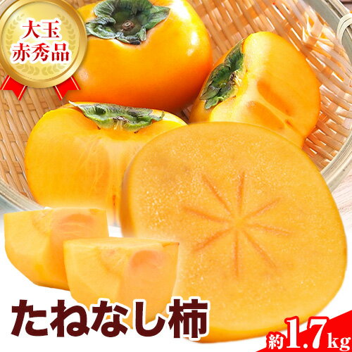 【ふるさと納税】赤秀品 種無し柿(刀根早生)約1.7kg (6玉) きよ農園《2026年9月末-10月末頃出荷》 柿 かき カキ 刀根早生 とねわせ フルーツ 果物 スイーツ 送料無料