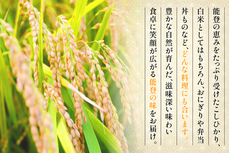 米 令和7年産 コシヒカリ 精米 3kg [能登ファーム志賀 石川県 志賀町 CH4012]