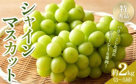 【2025年8月中旬より発送】極撰！シャインマスカット 約2kg (3～5房) |特秀品 フルーツ シャインマスカット特秀品 小豆島  旬 美味しい 小豆島 シャインマスカット 新鮮 フルーツ 詰合せ シャインマスカット フルーツ 人気 シャインマスカット フルーツ 厳選 シャインマスカット おすすめ フルーツ