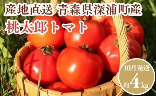 【10月発送】青森県産 桃太郎 トマト 約4kg 20玉前後 大玉 tomato 新鮮 野菜 旬 甘い 完熟 ジュース 産地直送 農家直送 [fu-0022-002-10]
