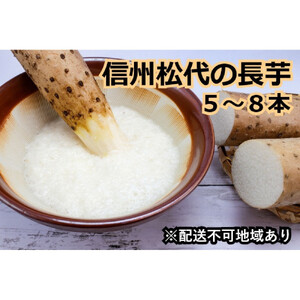 信州の長芋【調理しやすい食べきりサイズ】5～8本入り | 長芋