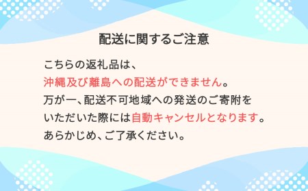 【先行予約】新米 米 つや姫 10kg 2024年産 令和6年産 精米 ※沖縄・離島への配送不可 ja-tsxxb10