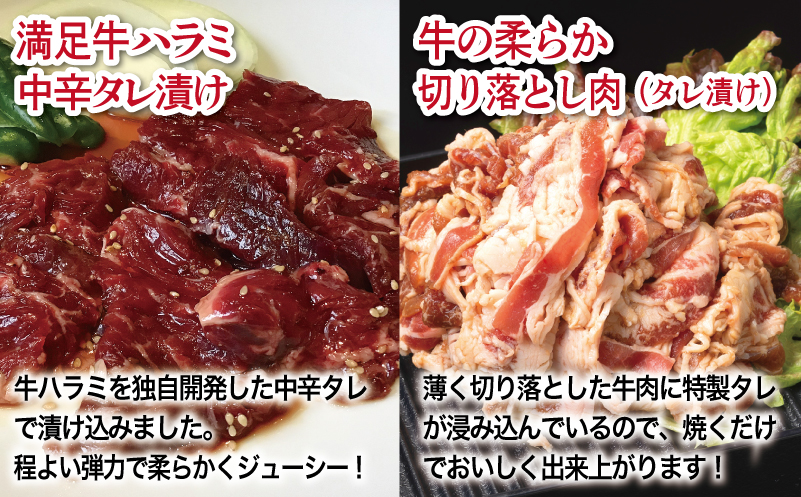 【タレ漬け牛肉2種セット】 満足牛ハラミ・牛肉切り落とし 合計1kg 【味付け ハラミ 小分け 焼くだけ 簡単調理 BBQ 牛肉 250g×各2P】 G3359