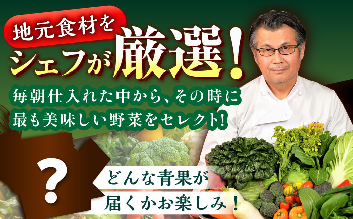 【全12回定期便】栽培期間中農薬不使用！旬のお野菜セット×もぎたてフルーツセット　愛媛県大洲市/有限会社ヒロファミリーフーズ [AGBX008]野菜 サラダトマト 料理 きゅうり 鍋 とうもろこし 果