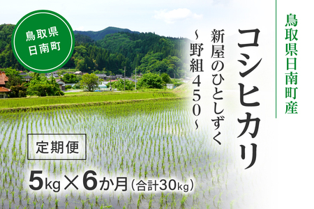 令和8年産 新米 先行予約 鳥取県日南町産コシヒカリ 定期便 5kg×6か月(合計30kg) 新屋のひとしずく ～野組450～ 米 お米 おこめ 精米 こしひかり