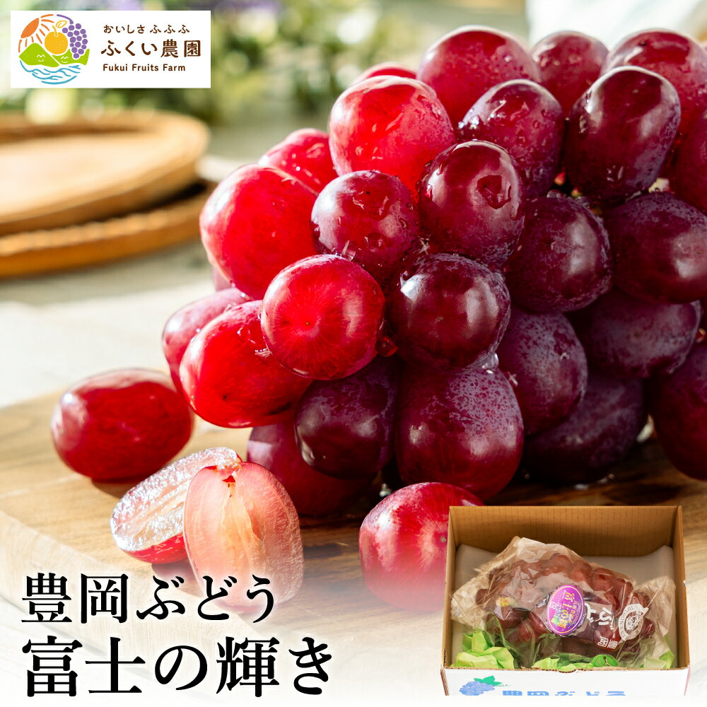 【ふるさと納税】富士の輝き 600g 大粒 減農薬 豊岡ぶどう / 富士の輝 富士のかがやき 糖度20～23前後 甘い 豊岡ブドウ 産地直送 濃厚 甘味 コク 皮ごと 食べれる ぶどう ブドウ 葡萄 果物 くだもの フルーツ ふくい農園