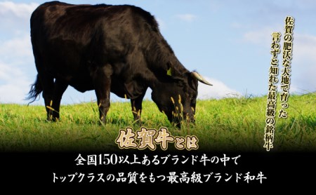 200g×3枚 佐賀牛 「ヒレステーキ」 G-193