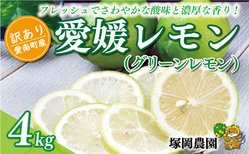 
            数量限定 訳あり 愛媛 レモン （ グリーンレモン ） 4kg 8000円 柑橘 サイズ 不揃い 家庭用 檸檬 国産 フルーツ 果物 果実 産地直送 農家直送  期間限定 特産品 瀬戸内 ワックス 防腐剤 不使用 果汁 人気 新鮮 レモネード 塩レモン レモン酢 レモンソース はちみつレモン レモンケーキ レモンスカッシュ レモンサワー レモン酎ハイ ビタミン 規格外 愛南町 愛媛県 塚岡農園
          