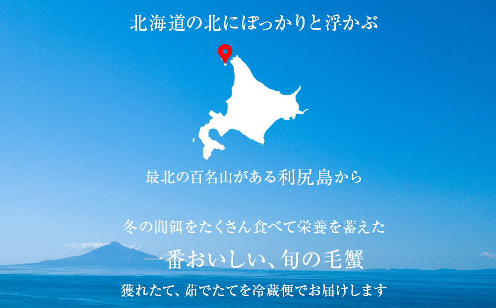 【2025年発送予約】チルドでお届け！浜ゆで毛ガニ特大２尾（１尾あたり約700g〜800g） 福士水産