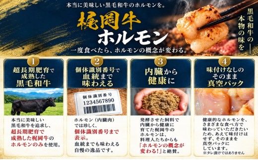 ( 梶岡牛 ) ホルモン  ・ ミックス  500g 真空パック ｜  国産梶岡牛 希少 ホルモン ぷりぷり 食感 濃厚 旨み 焼肉 もつ鍋 もつ モツ 冷凍 特産品 山口 美祢 美祢市