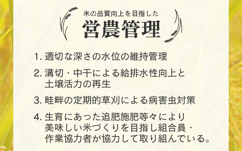 【先行予約】【令和8年産 新米】【一等米】《定期便3回》エコ栽培コシヒカリ 白米10kg（5kg×2袋）計30kg ／ 鮮度抜群 福井県産 こしひかり ご飯 新鮮 白米 ※2026年10月上旬以降順次