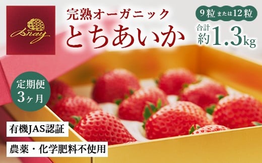 【定期便3ヶ月】完熟オーガニックとちあいか 9粒または12粒 ※2025年12月上旬~2026年4月下旬頃に順次発送予定