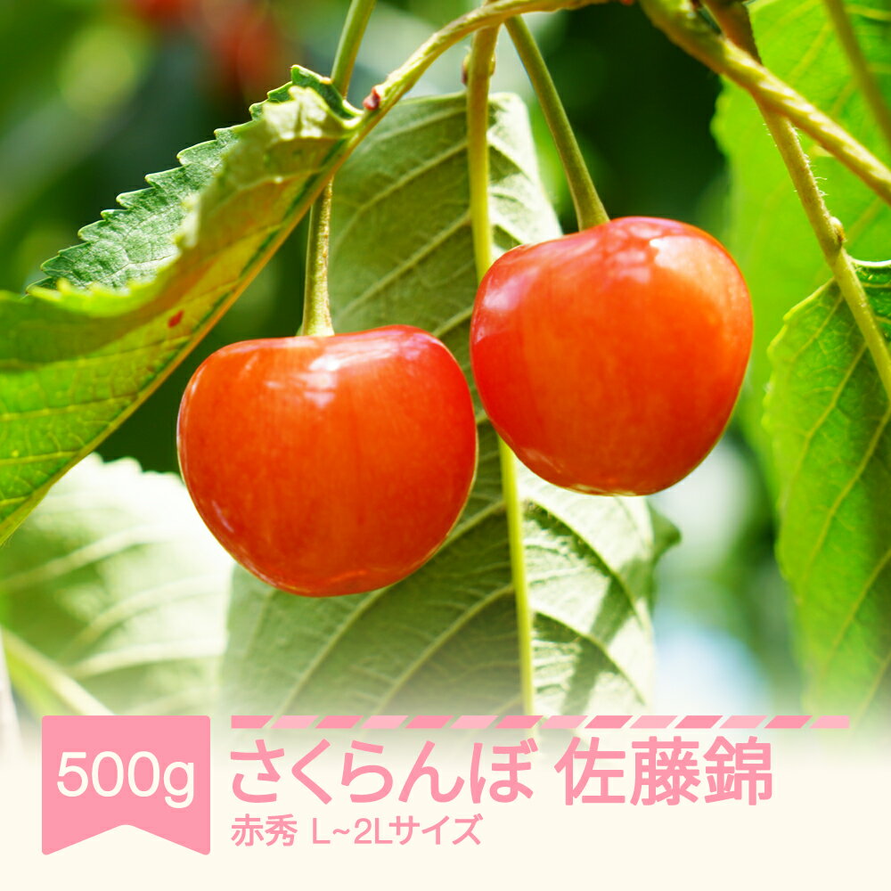 【ふるさと納税】【先行予約】さくらんぼ 佐藤錦 赤秀 500g×1パック 500g L-2L玉 バラ詰 ご家庭用 2026年産 令和8年産 山形県産 送料無料