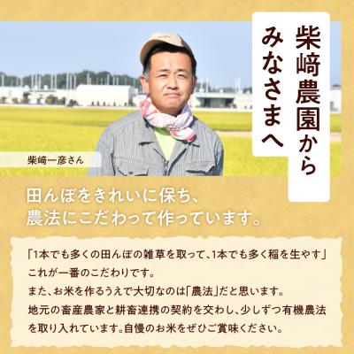 ふるさと納税 千代田町 先行受付 【令和7年度産】 群馬県千代田町産 コシヒカリ 9kg × 1袋  ch044-002 |  | 02