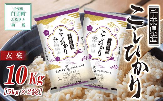 令和5年産  千葉県産コシヒカリ（玄米）10kg(5kg×2袋) お米 玄米 千葉県産 白子町 コシヒカリ 米 こめ 送料無料 SHB027