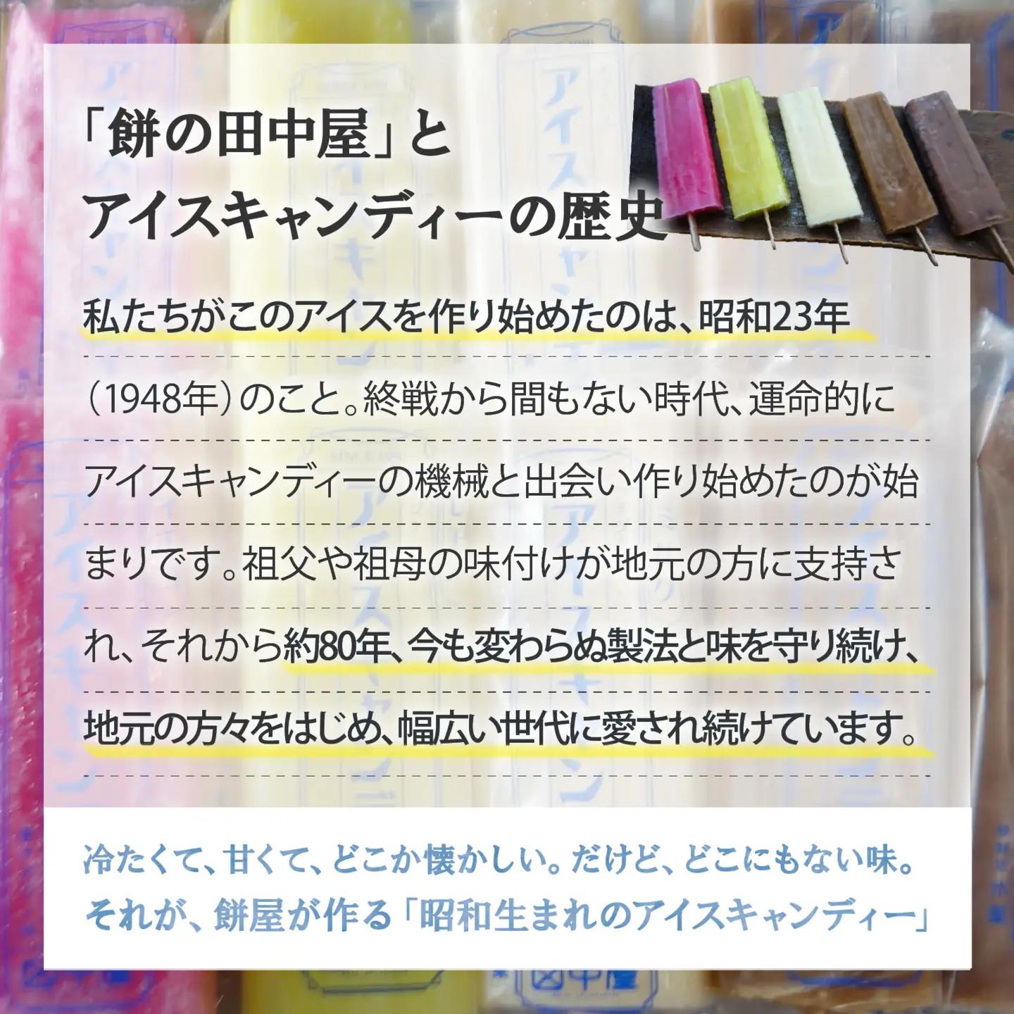 昭和生まれの手作りアイスキャンディ（合計10本）[A-184002] / アイス