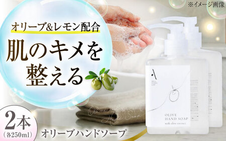 オリーブハンドソープ【AKI no SHIMA no MI】250ml×2本 美容 ボディケア ハンドケア 江田島市/リベラグループ[XAJ113]