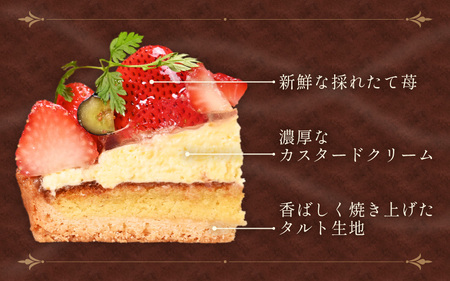 【数量限定】サクサク食感 フレッシュ苺タルトケーキ 5号 直径15cm 【イチゴケーキ 苺ケーキ タルトケーキ 洋菓子 ケーキ スイーツ クリスマス】 [A-5203]